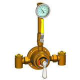 Lawler 3/4" Piped Thermometer Ball Valve 85005