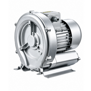 Regenerative Blowers