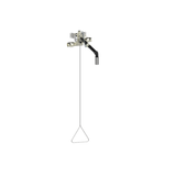 Stingray T3035 Wall Mounted Drench Shower Fixture Barrier Free - Tepid to the Core