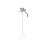 Stingray T3035 Wall Mounted Drench Shower Fixture Barrier Free - Tepid to the Core