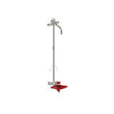 Stingray T5535 Wall Mounted Combination Fixture Barrier Free With Filter - Tepid to the Core