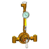 Lawler 3/4" Piped Thermometer Ball Vacuum Breaker Shower Valve 85002